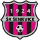 home logo