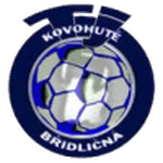 home logo