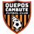 home logo