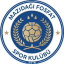home logo