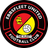 home logo