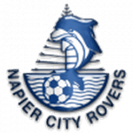 home logo