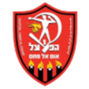 home logo