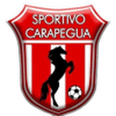 home logo