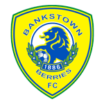 home logo