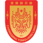 home logo