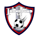 home logo