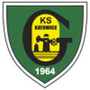 home logo