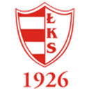 home logo