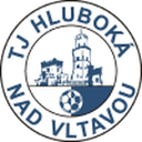 home logo
