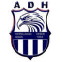 home logo