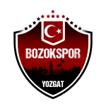 Yozgat Bld Bozokspor