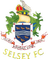 home logo