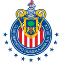 home logo