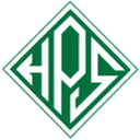 home logo