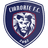 away logo