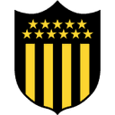 home logo