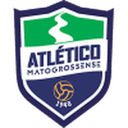 home logo