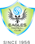 home logo
