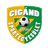 home logo