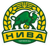 home logo