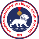 home logo