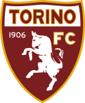 home logo
