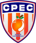 home logo