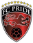 home logo