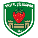 home logo