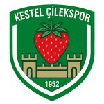 home logo
