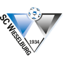 home logo