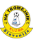home logo