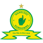 home logo
