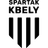 home logo