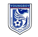 Dalian Yingbo B
