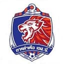 home logo