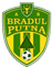 home logo