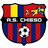home logo