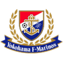home logo