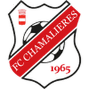 home logo