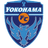 home logo