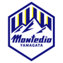 home logo