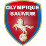 home logo