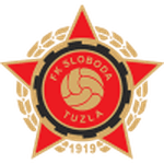 home logo
