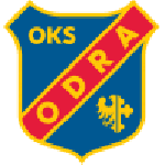home logo