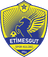 home logo