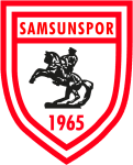 home logo