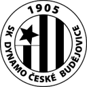 home logo