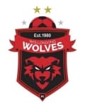 home logo